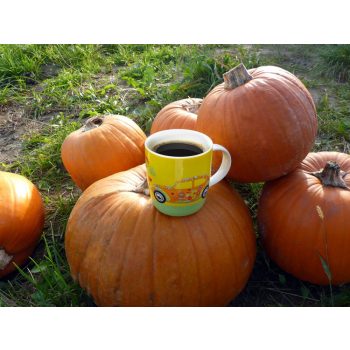 Kávésbögre bogár 400ml (porcelán)